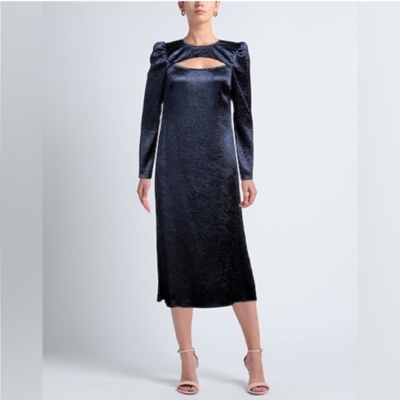 Baum und Pferdgarten Dresses & Skirts - Baum und Pferdgarten | Aneto Crinkle Satin Cutout Long Sleeve Dress | Size 10